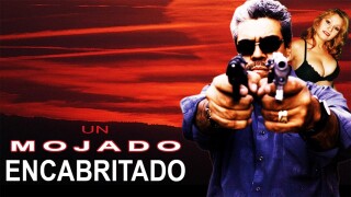 Un Mojado Encabritado