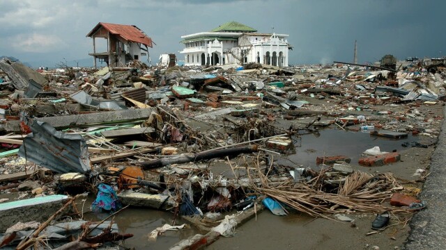 Mega Disaster: Tsunami