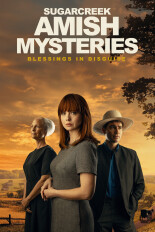 Sugarcreek Amish Mysteries: Blessings in Disguise