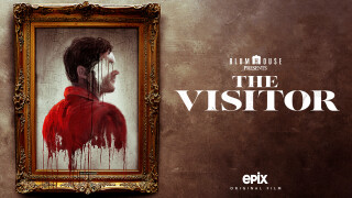 The Visitor