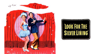Look for the Silver Lining