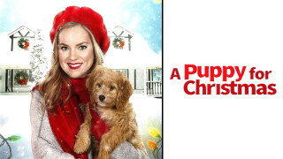 A Puppy for Christmas