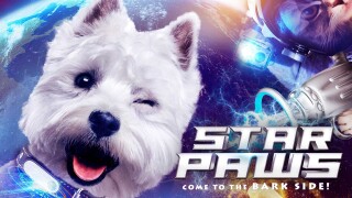 Star Paws