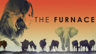 The Furnace