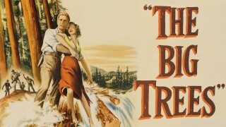The Big Trees