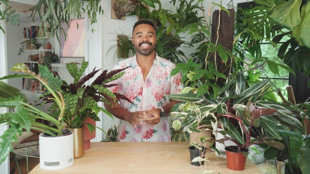 Living Wild: Plant-spiration With Hilton Carter