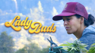 Lady Buds