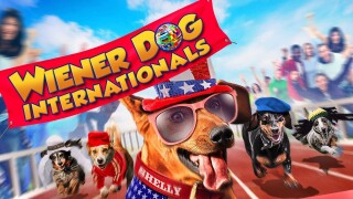 Wiener Dog Internationals