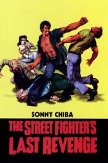 The Street Fighter's Last Revenge