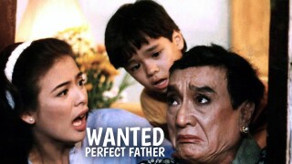 Wanted: Perfect Father