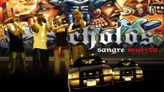 Cholos, sangre muerta