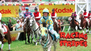 Racing Stripes