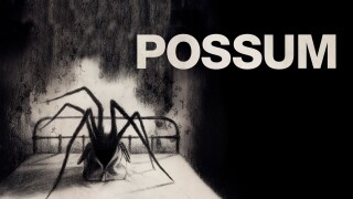 Possum