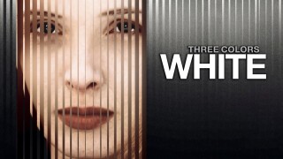 Three Colors: White