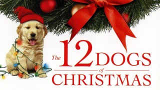 The 12 Dogs of Christmas