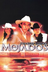 Cuando Llegan los Mojados