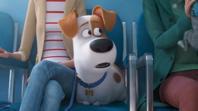 Watch the secret life of pets online free online dailymotion