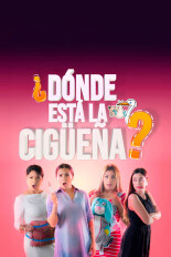 ¿Dónde está la cigüeña?