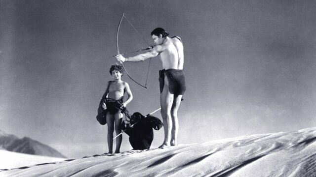 Tarzan's Desert Mystery