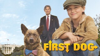 First Dog