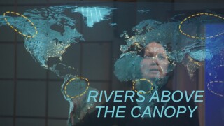 Rivers Above the Canopy