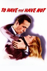 To Have and Have Not