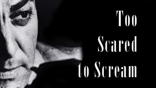Too Scared to Scream