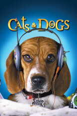 Cats & Dogs