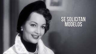 Se solicitan modelos