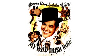 My Wild Irish Rose