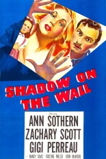 Shadow on the Wall