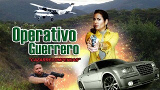 Operativo Guerrero