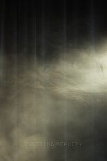 Fleeting Reality