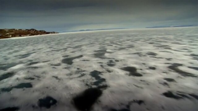 Abandoned in the Arctic