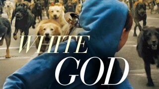 White God