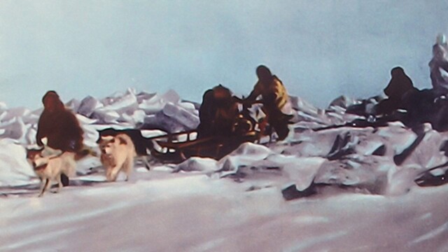 Arctic Fury