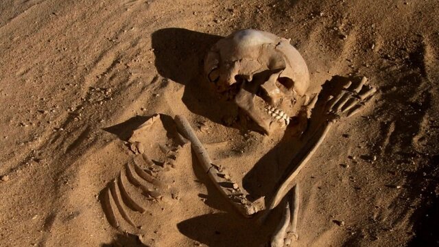 Mystery Skeletons of the Sahara