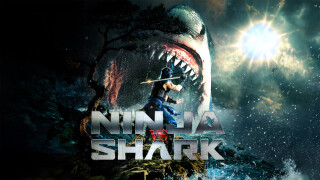 Ninja vs Shark