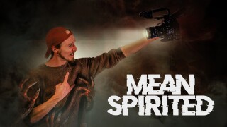 Mean Spirited