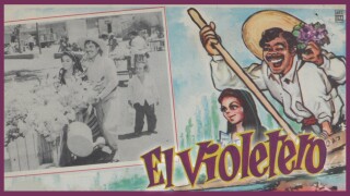 El violetero