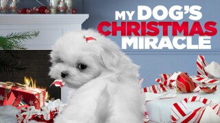My Dog's Christmas Miracle