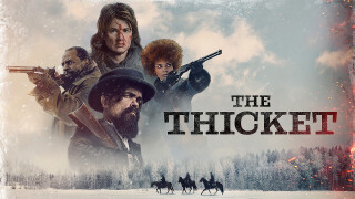 The Thicket