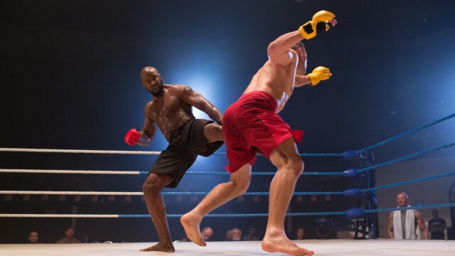 Watch never back down no surrender full movie sale