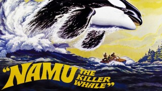 Namu, the Killer Whale