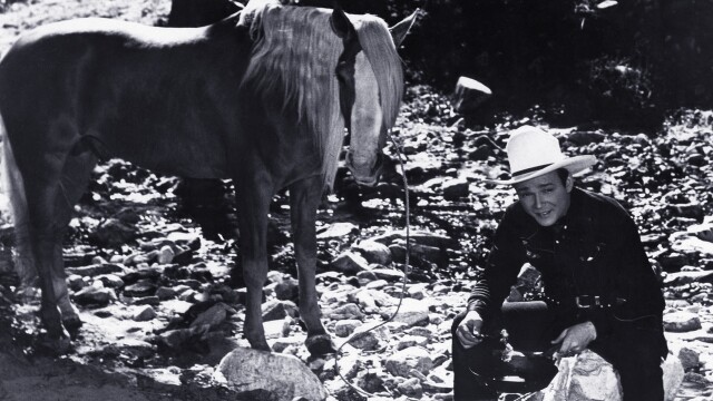 The Cowboy and the Senorita