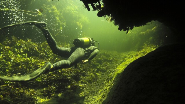 Underwater Okavango