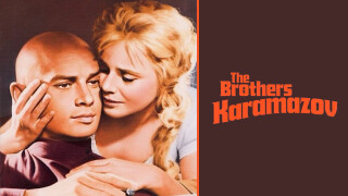 The Brothers Karamazov