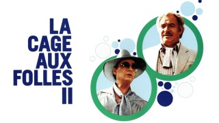 La cage aux folles II