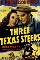 Three Texas Steers