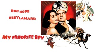 My Favorite Spy
